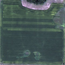 An Aerial Option