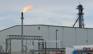 Biofuels Grow Up