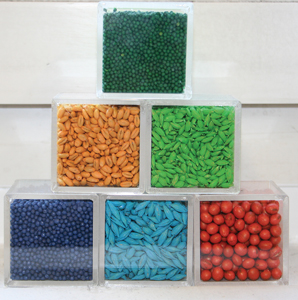 BASF Registers New Seed Treatment Fungicide