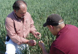 Dealing With Visitors At Your Ag Dealership