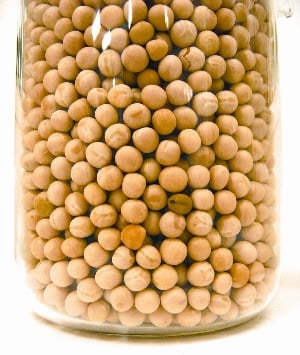 Seed Survival