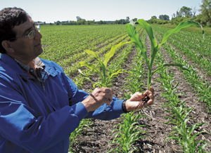 Beck Gift Will Improve Purdue Ag Economics, Agronomy Facilities