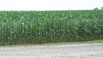 Survey: Farmland Values Continued To Rise In Second Quarter 2013