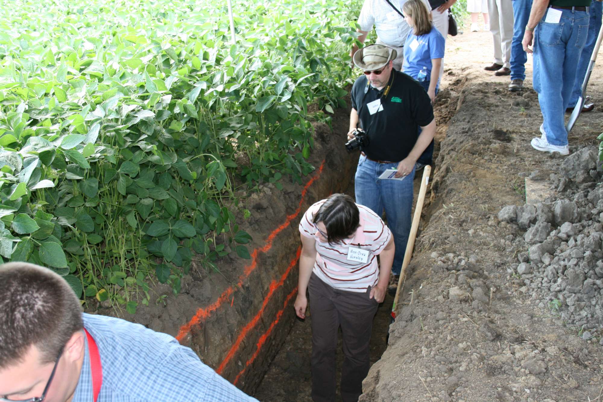 Conservation Tillage Conference To Focus On Cover Crops, Nutrient Management