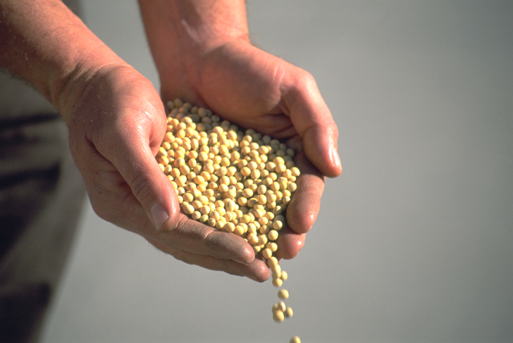 The Growing Importance Of Seed Care