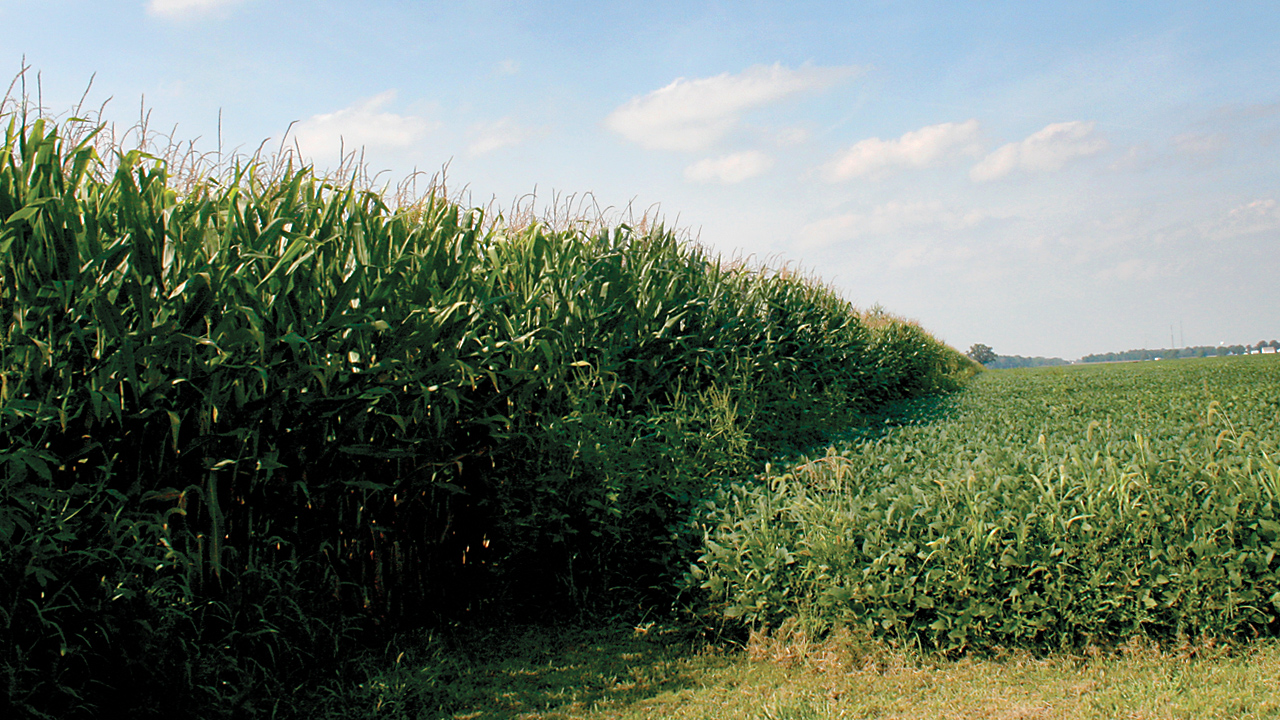 Is Agriculture Facing A Bubble?