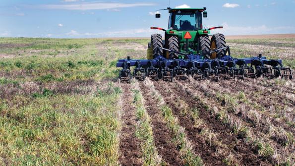 Strip-Till Vs. No-Till: What’s Better For Soybeans?