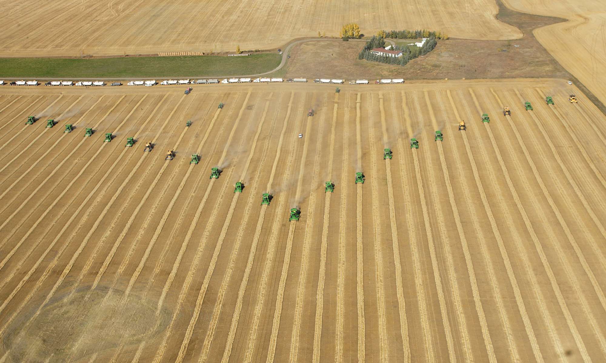 Micros Power Through Season