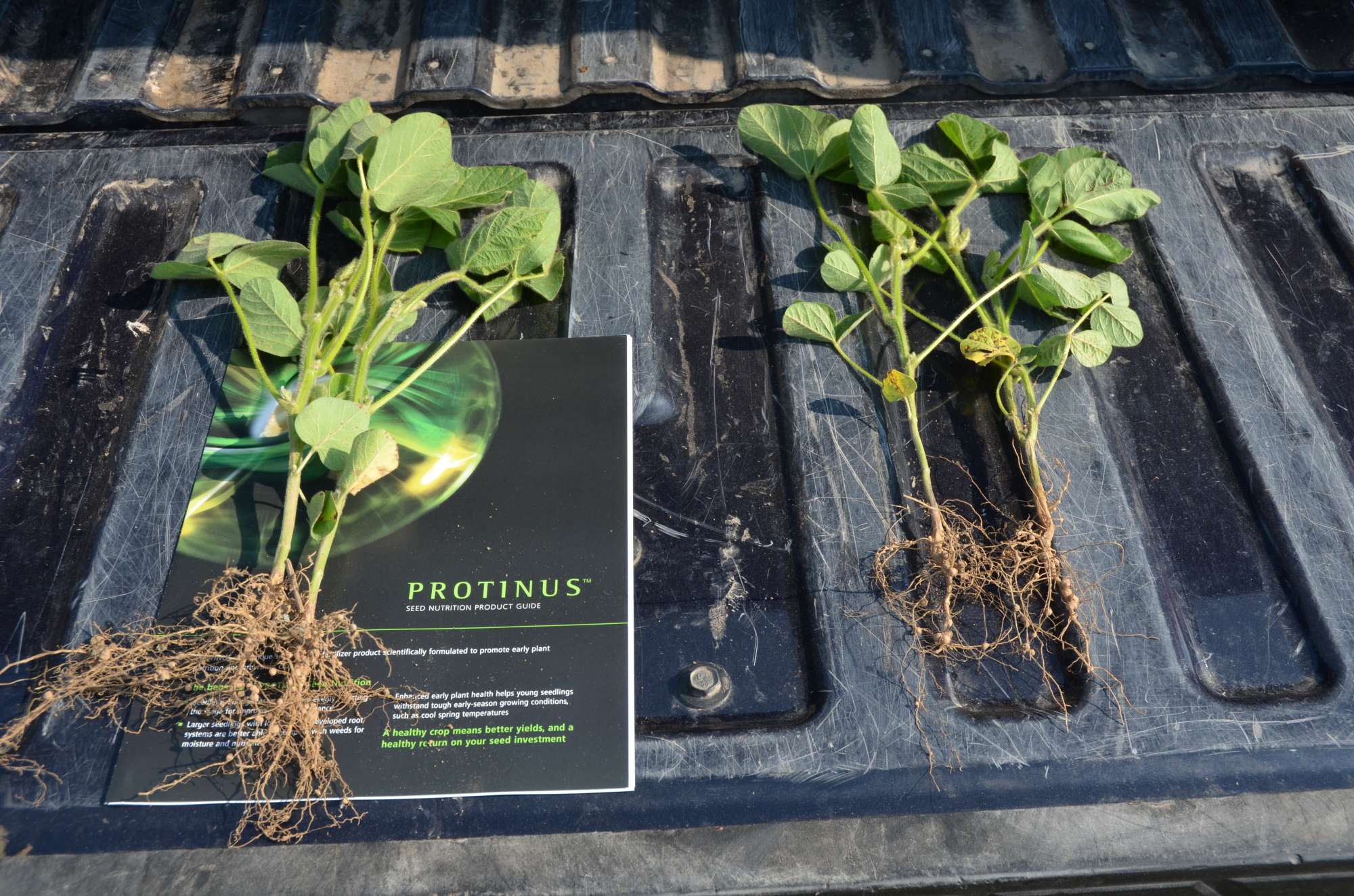 Micronutrients Battle Stress, Yield Loss