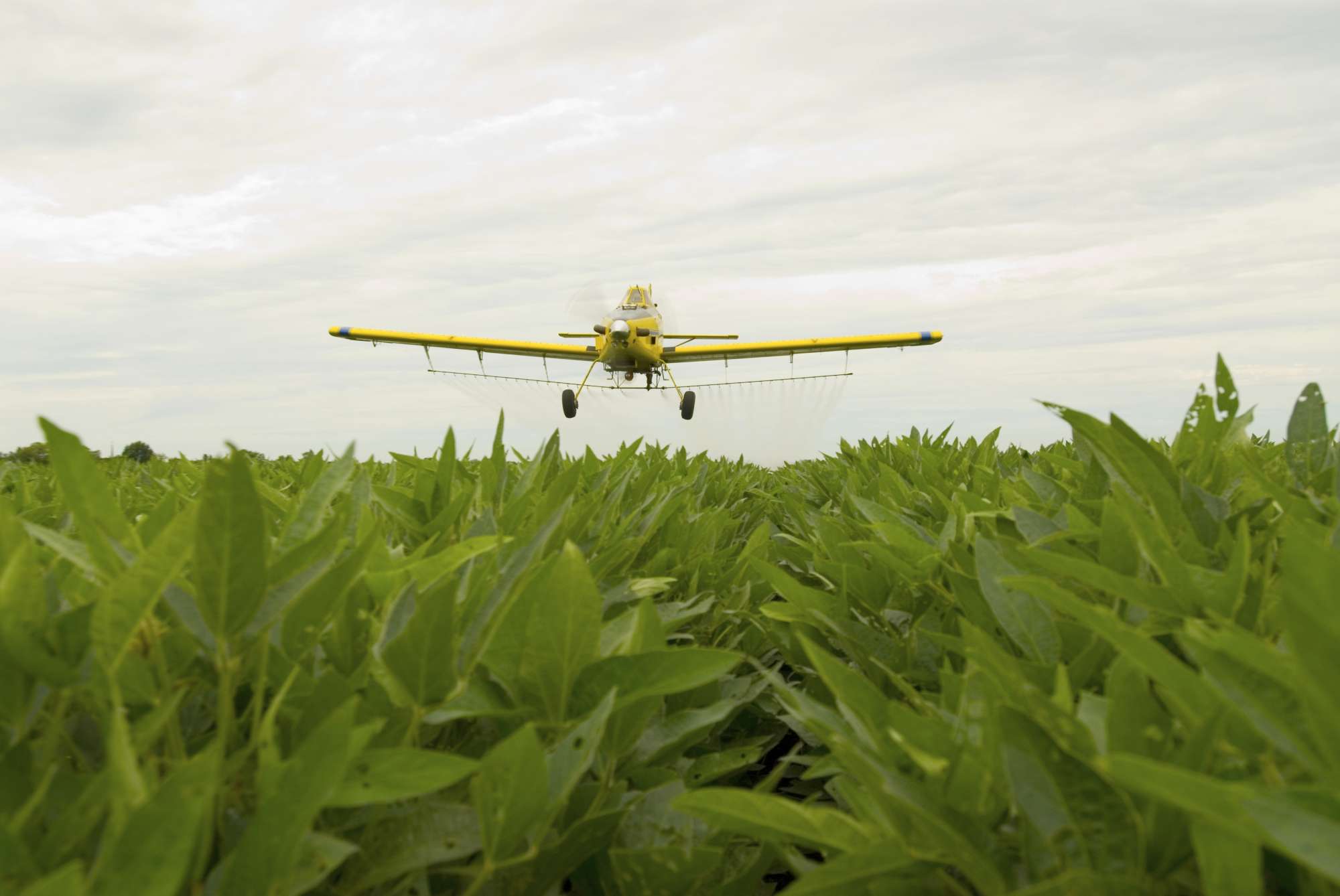 Aerial Application Industry Celebrates 100th Anniversary