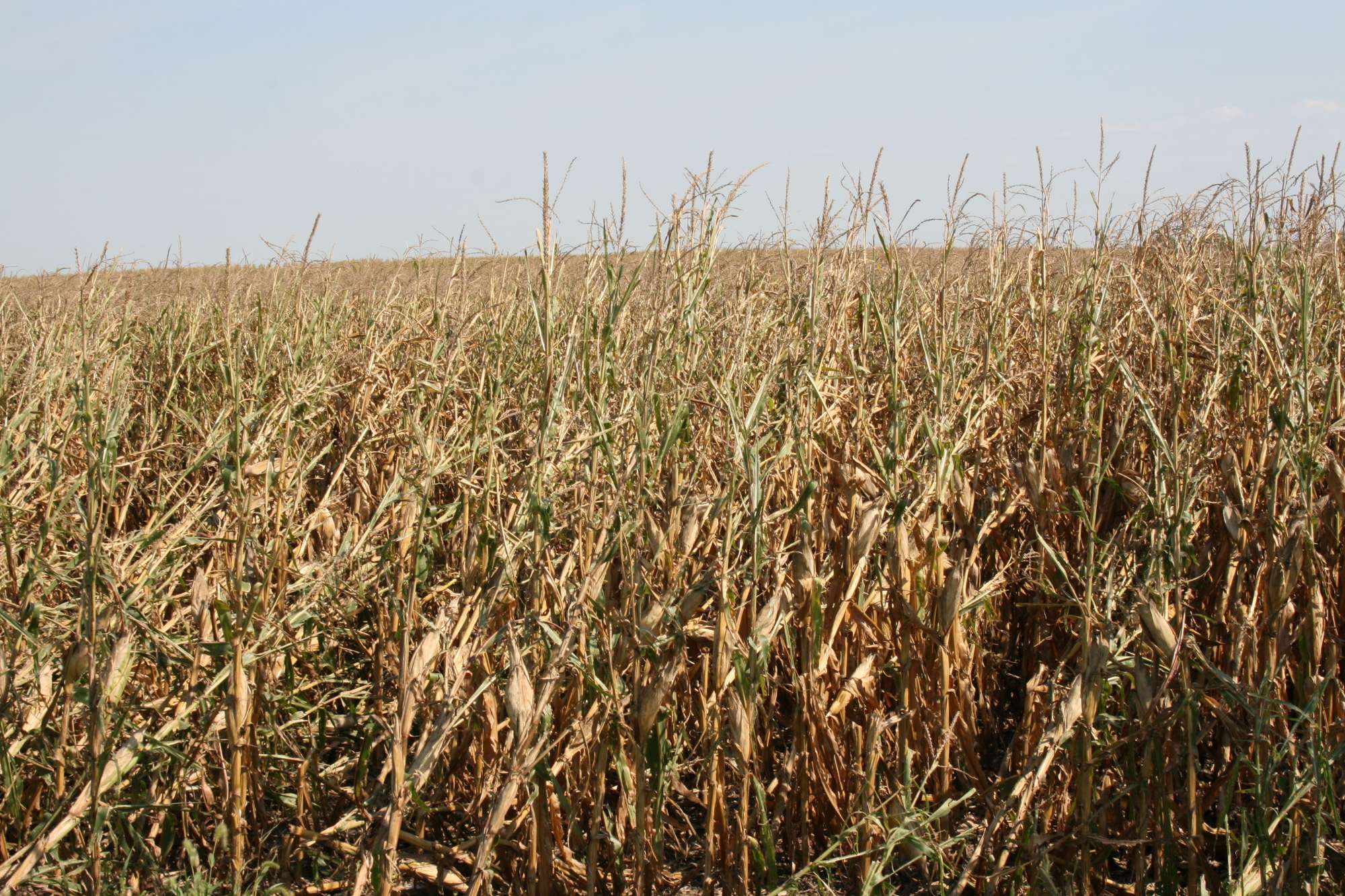 New Farm Bill Program To Provide Relief To Farmers Affected By Severe Weather