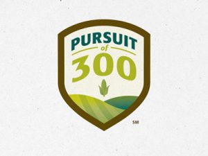 Pursuit Of 300