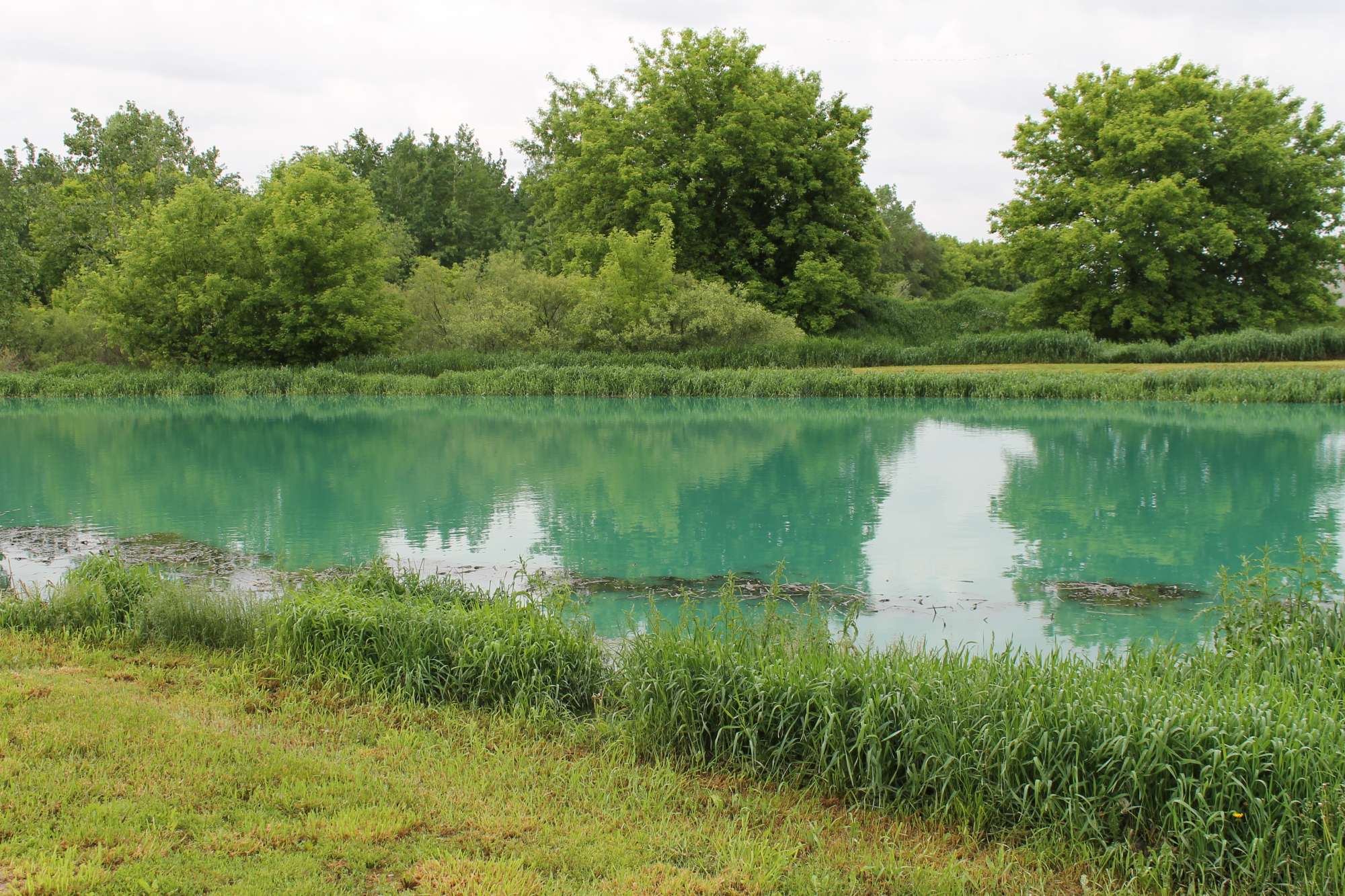 Report: Conservation Work Minimizes Sediment, Nutrient Runoff