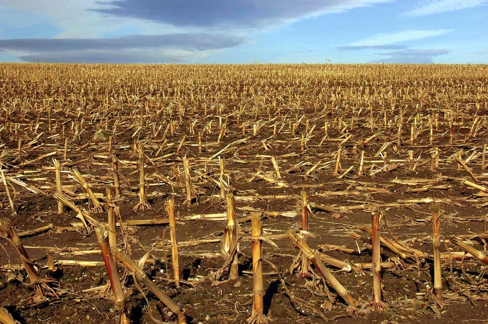 Improving No-Till