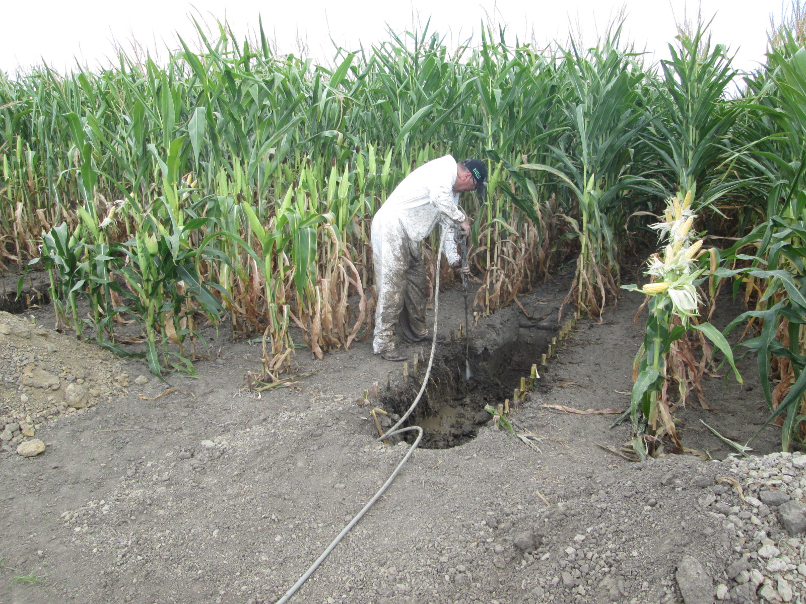 Nutrients For Life Engaging Middle Schools On Soil