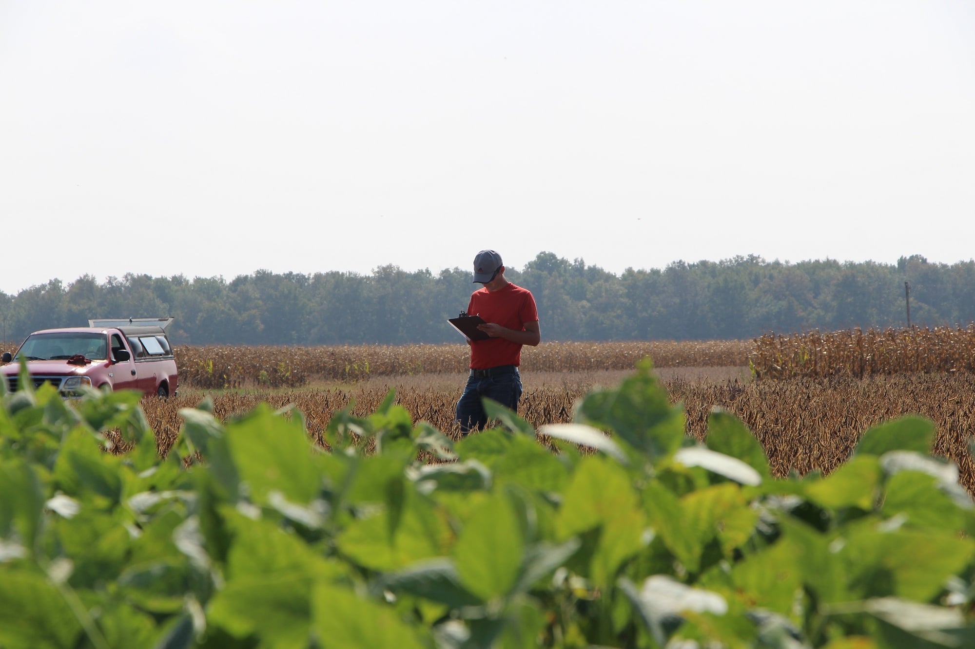 EXPERT: Why Fields With Long Soybean History Still Benefit From Inoculation