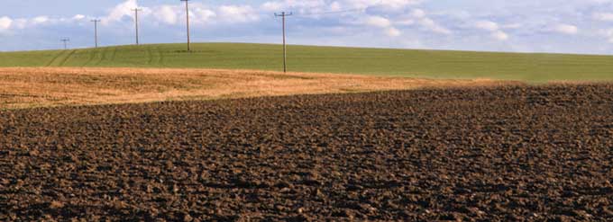 7 Keys To Delivering Effective Fertility Programs: #7 Scorecarding