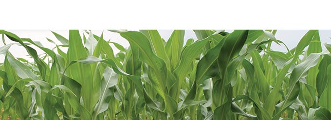 7 Keys To Delivering Effective Fertility Programs: #6 Yield Data