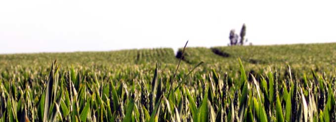 7 Keys To Delivering Effective Fertility Programs: #3 Developing The Prescription