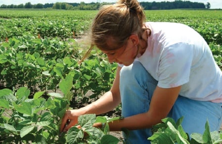 Crop Adviser Conference to Offer Ag Professionals Practical Management