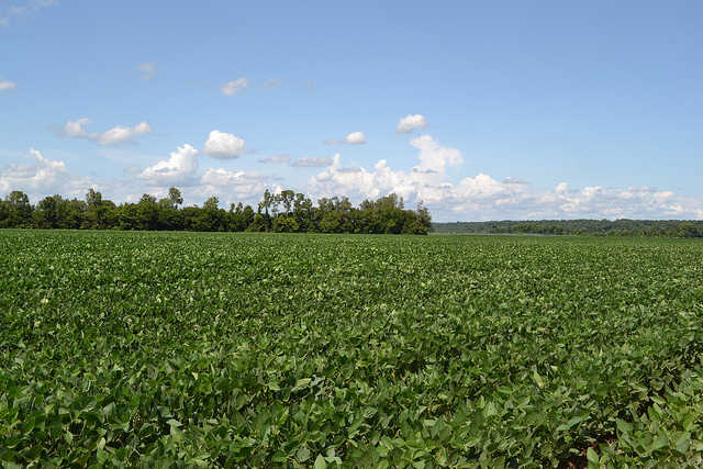 The Coming War On Agriculture