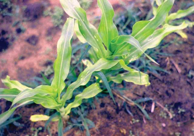 3 Key Questions For Sulfur Application