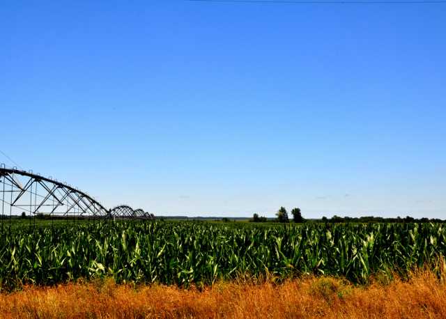 The Case For Biopesticides