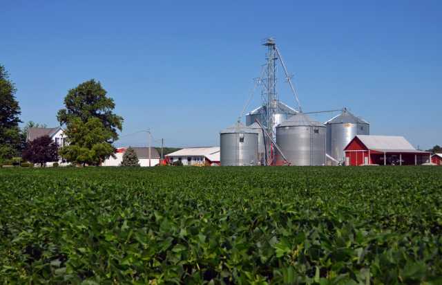 State Of Seed Care Study: Top 8 Key Findings (Infographics)