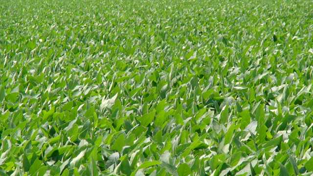 DuPont Pioneer, AGCO Collaborate On Wireless Data Transfer Solution