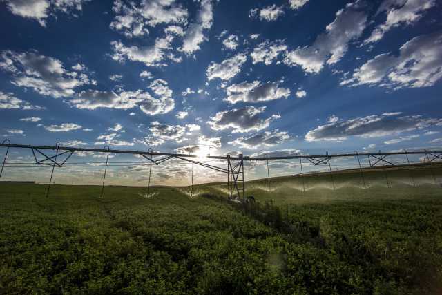 Maximizing Returns From Water Inputs