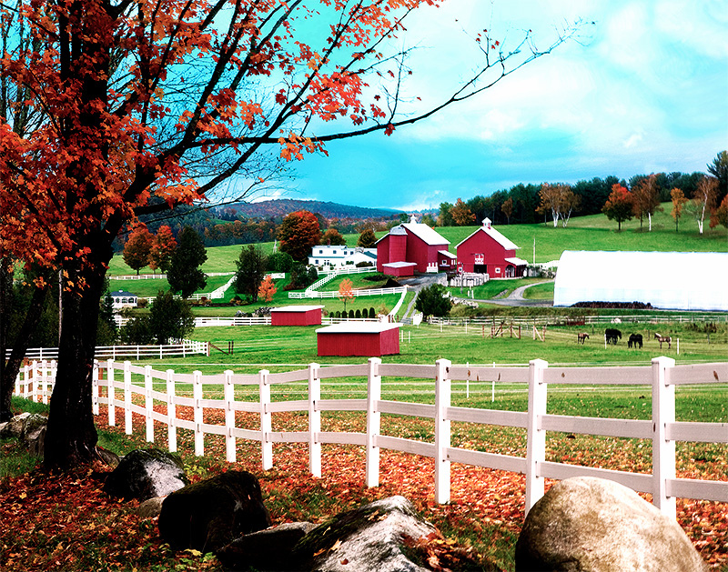 Vermont Becomes First U.S. State To Mandate GMO Labeling