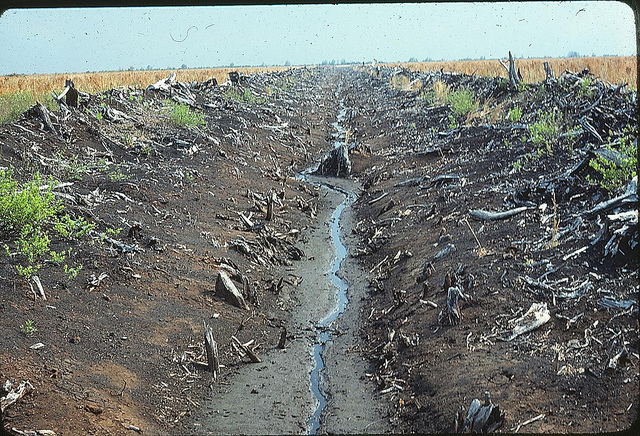 The Promise Of Progress On Water In 2016