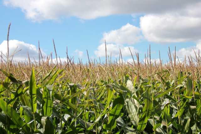 National Council Of Farmer Cooperatives Joins Field To Market