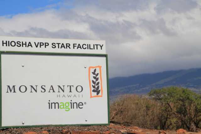 Monsanto Hawaii Improves Water Conservation Efforts