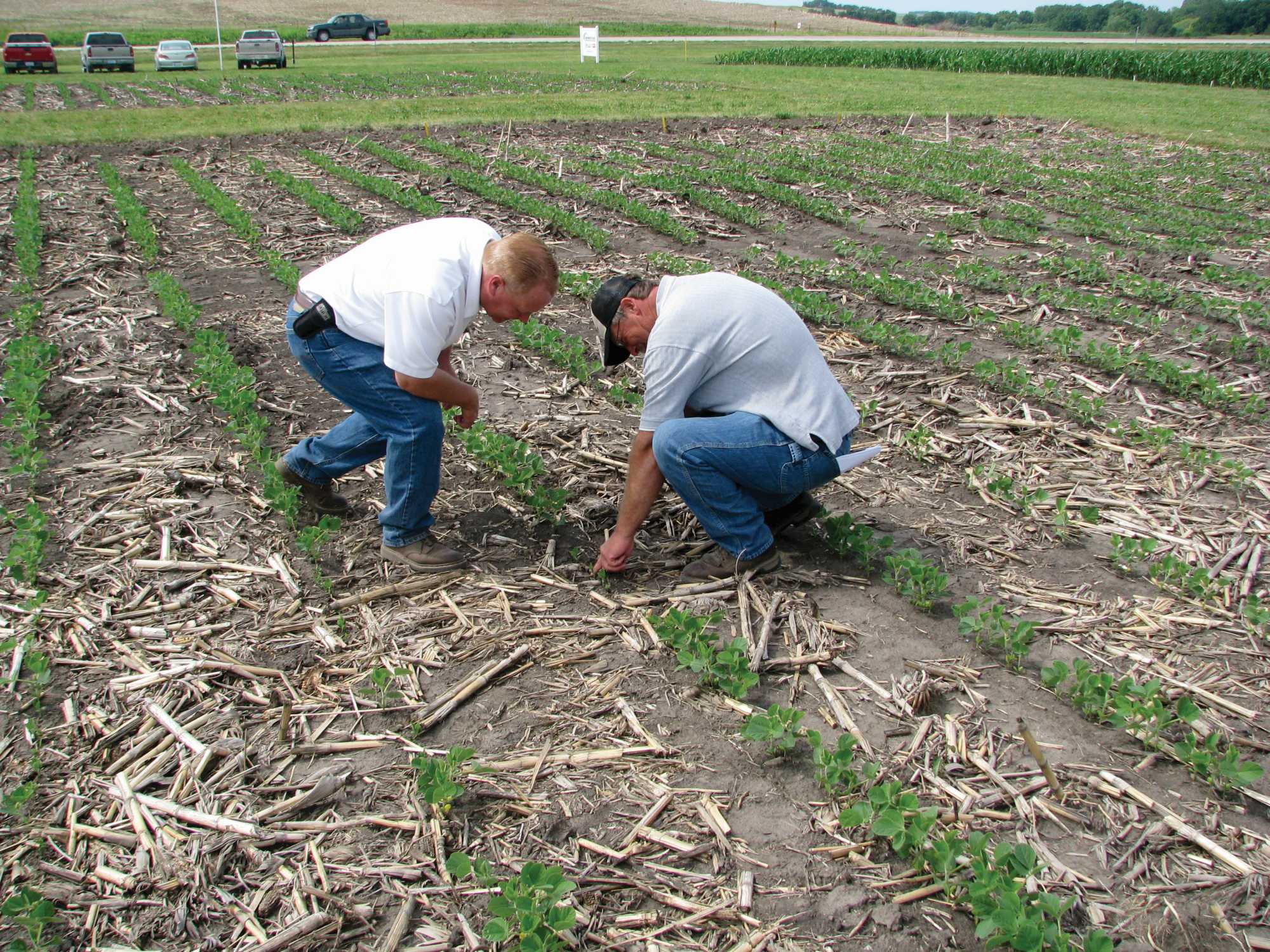 CropLife Compensation Survey: Battling Talent Drain