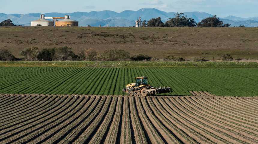 Think, Talk, Act: Agriculture Is Filled With Brilliant Thinkers With Diverse Backgrounds