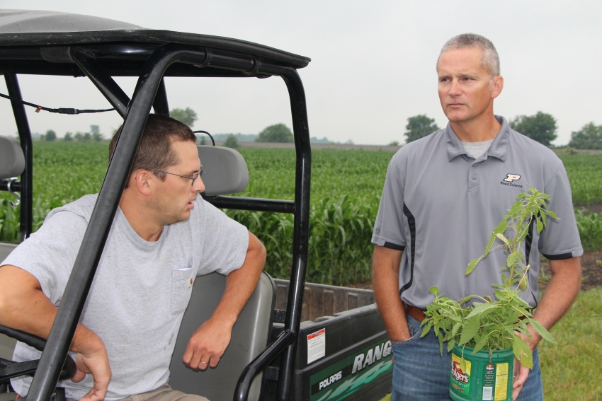 Latest Weed Management Technology, Strategies to Highlight Purdue’s Weed Day