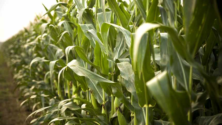 HD Precision Analytics Launches New Mobile App For Agriculture Market