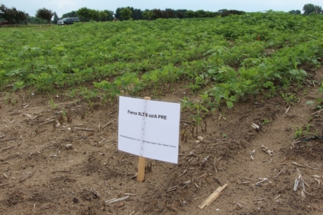 Valent’s Fierce XLT Herbicide Receives EPA Approval