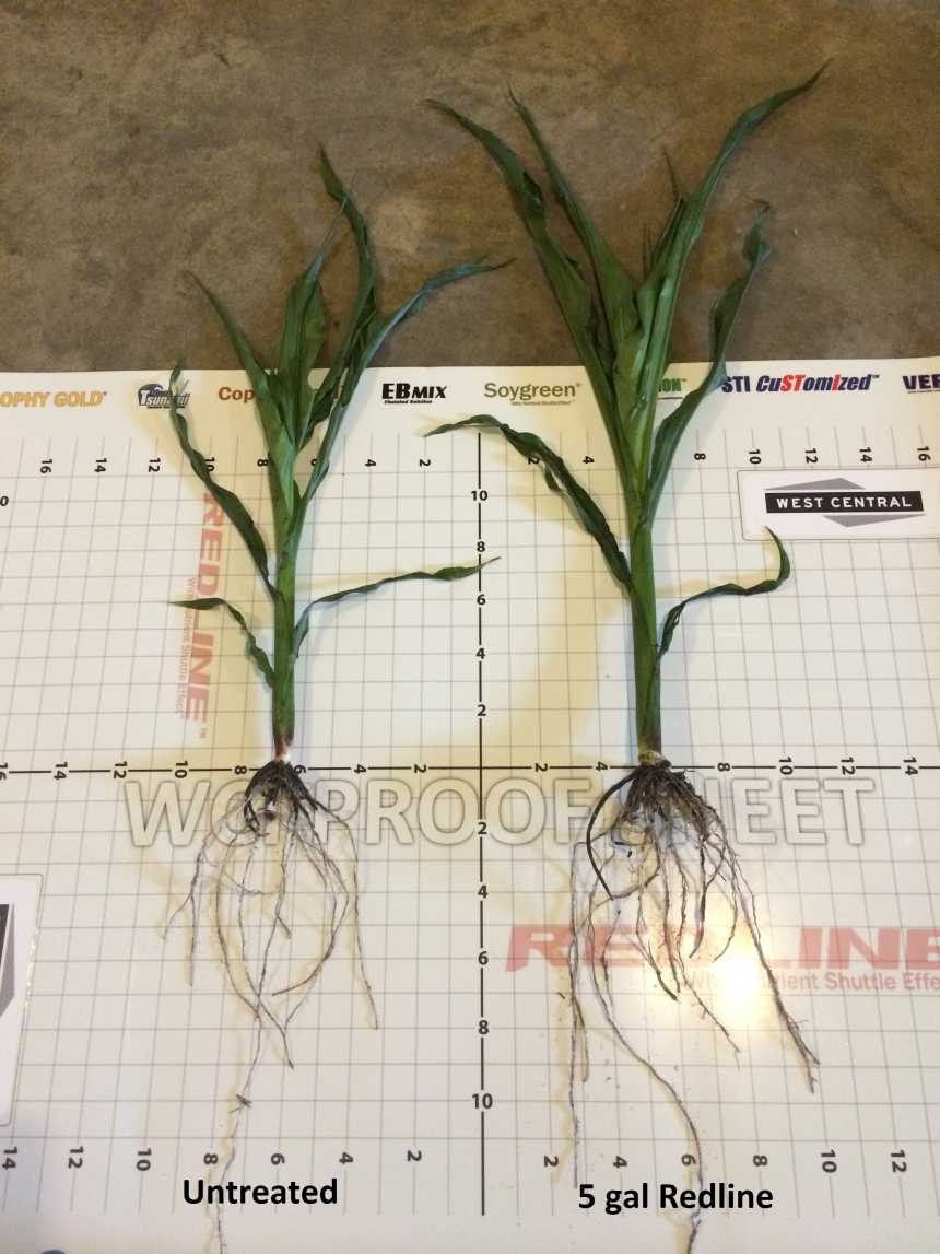 West Central Offers Performance Guarantee On Redline Starter Fertilizer