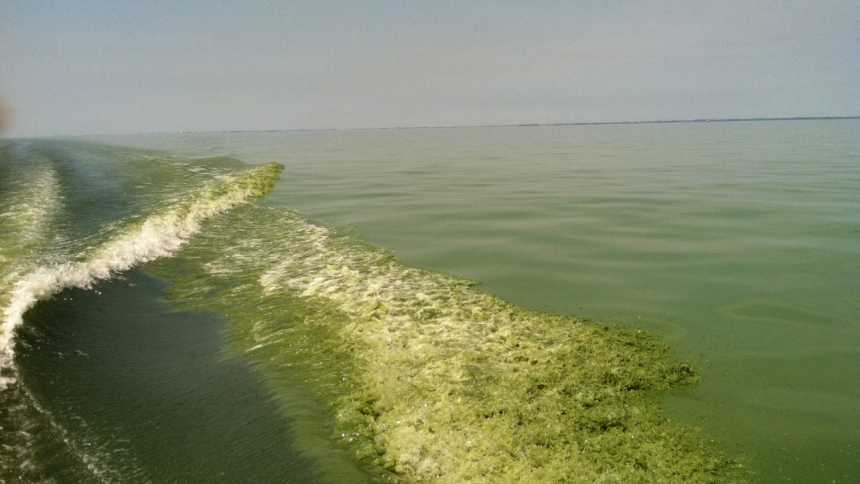 NOAA: Lake Erie Annual Algal Bloom Could Be ‘Historically Bad’