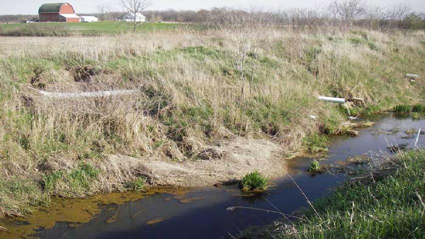 In this photo by Douglas R. Smith, water draining from a farm field via below ground pipes, or tile, discharges directly into a ditch.