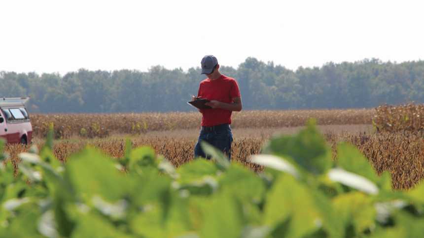 Seed Care Stands Strong