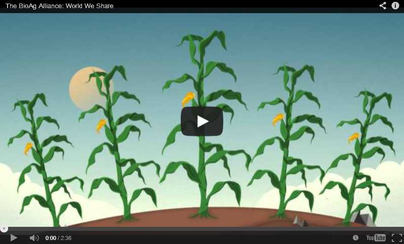 Understanding Microbes And The BioAg Alliance