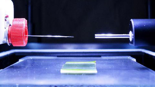Purdue University Acquires Technology For Herbicide Molecular Imaging