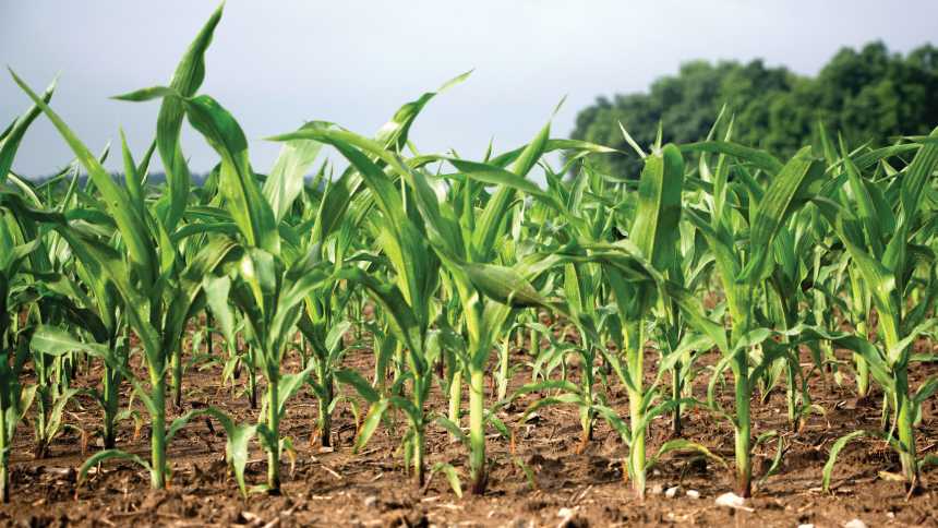4R Nutrient Stewardship Summit Coming To DC