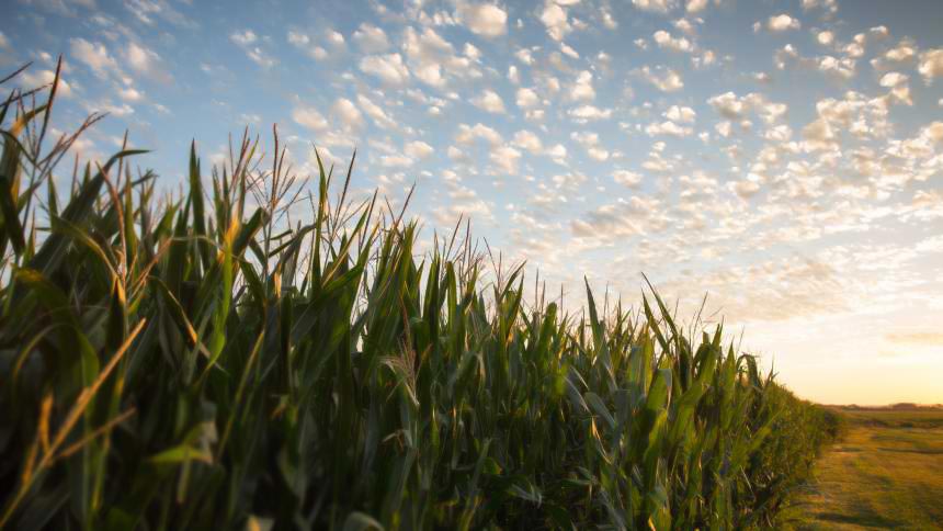 Naig: Census Proves Agriculture is Vital to Iowa’s Economy