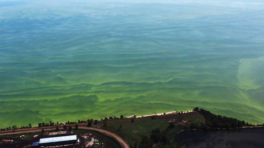 One Solution To Great Lakes Nutrient Troubles
