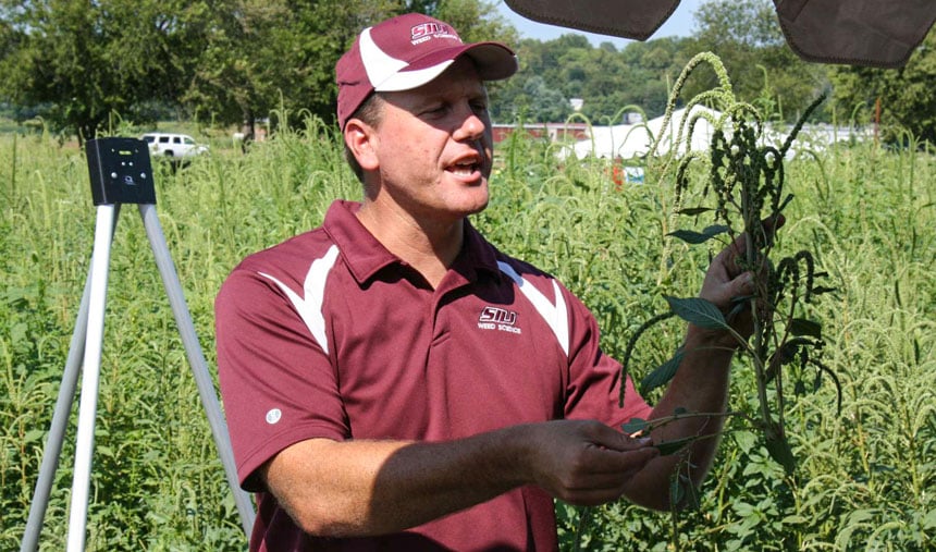 Dr. Bryan Young, Southern Illinois University, shows tour attendees a female Palmer amaranth plant.
