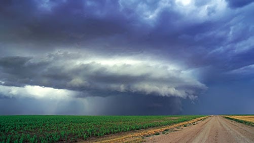 Corn field and storm